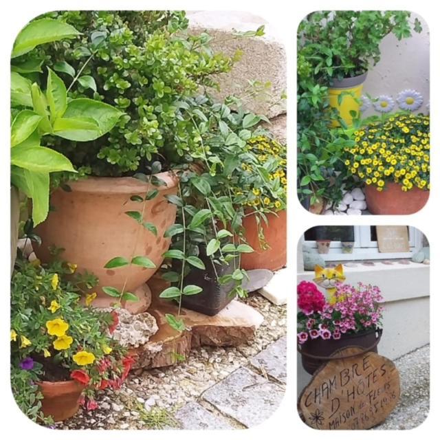 La Maison Des Fleurs Scrignac Zewnętrze zdjęcie
